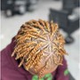 Starter Locs- Ear Length