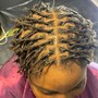 Combo palm Roll Locs and Haircut