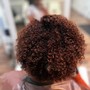 Root Touch Up