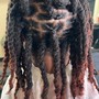 Medium Starter Locs (above shoulder)