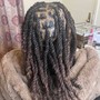 Crochet Root Maintenance