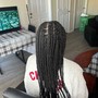 Loc Maintenance / Retwist