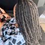 Poetic Justice Braids