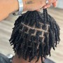 Kinky Twist (shaved back and sides)