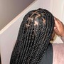 Braided Ponytail