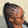 Braided Ponytail