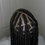 Braided Ponytail