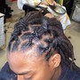 Short Loc Re-twist w Style