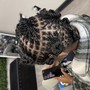 Extended ponytail (natural hair)