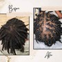 Starter Locs