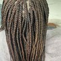 Feed in tribal braids