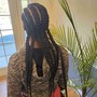 Box Braids hair provided