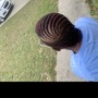 Mini Twist/ Natural hair