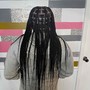 Kid's Braids