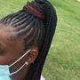 Crochet Braids (box braids, twist, locs)