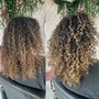 Custom Curly Cut