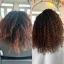 Single color root touch up