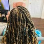 Dreadlocks ( medium starter locs)