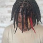 Small Starter Locs