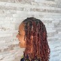 Small Starter Locs