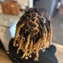 Loc Retwist