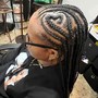 Box Braids (Md)