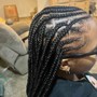 Box Braids (Md)