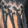 Tree Braids