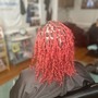 Root Touch Up