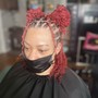 Traditional Starter Locs