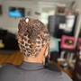 Individual Braids/twist shaved sides