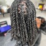 Mini Twists + Hair Added