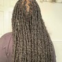 Loc Maintenance / Retwist