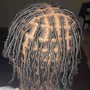 Starter Locs