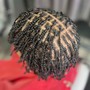 Starter locs