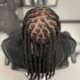 2 Strand Twist (Up to 100 Locs)