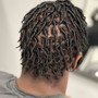 2 Strand Twist (Up to 100 Locs)