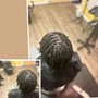 Natural Twists(2 strand twist) ( includes wash and treatment )