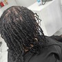 Starter Locs