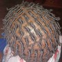 Kid's Traditional Starter Locs