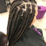 Feed-in Braids