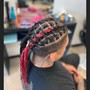 Starter Locs