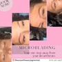 Microblading Touch Up 1 year