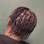 Two Strand twist (neck length and longer)