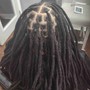 Starter Locs with 2 strand twists