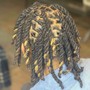 Loc retwist