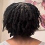 Comb Twist/Coil