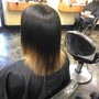 Root Touch Up