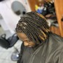 Starter Locs