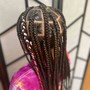 Large box  Braids